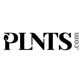 Pinterest Training Incompany Plnts